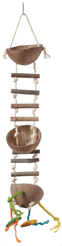 Feathered Friends Coco Feeder with Ladder - 70x12cm