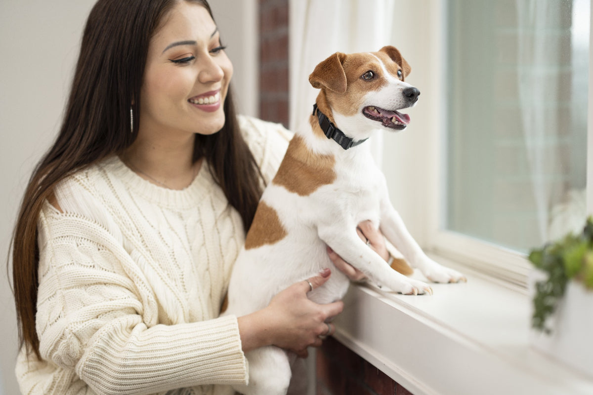 petsafe-nano-bark-collar-uncle-tom-s-pet-poultry