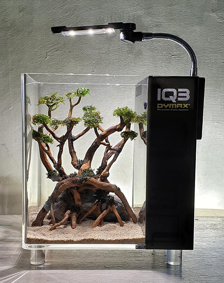 Dymax iq3 online