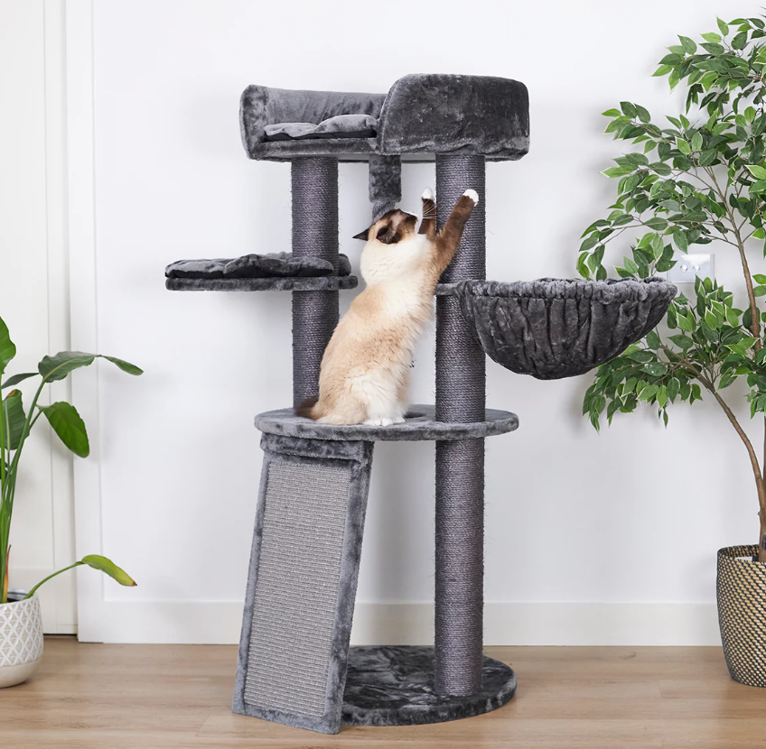 Cat scratcher and bed best sale