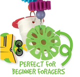 Bainbridge Interactive Foraging Hanging Pipe Bird Toy