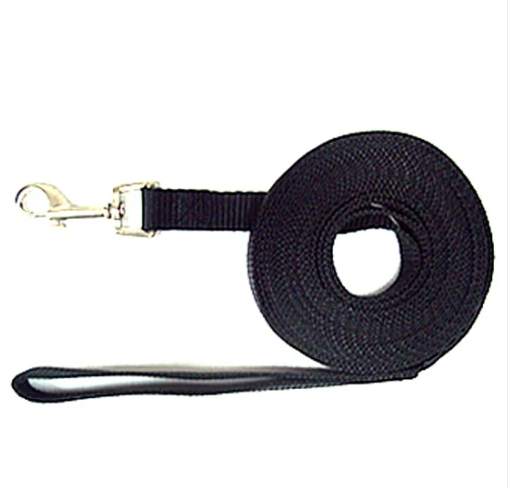 5m dog training sales lead