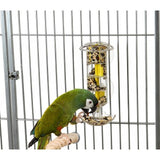 Creative Foraging Systems - Featherland Paradise Foraging Paddle Wheel Treat Holder