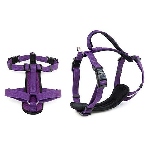 Bainbridge Premium Dog Harness with Neoprene Purple