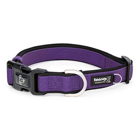 Bainbridge Premium Dog Collar with Neoprene Purple
