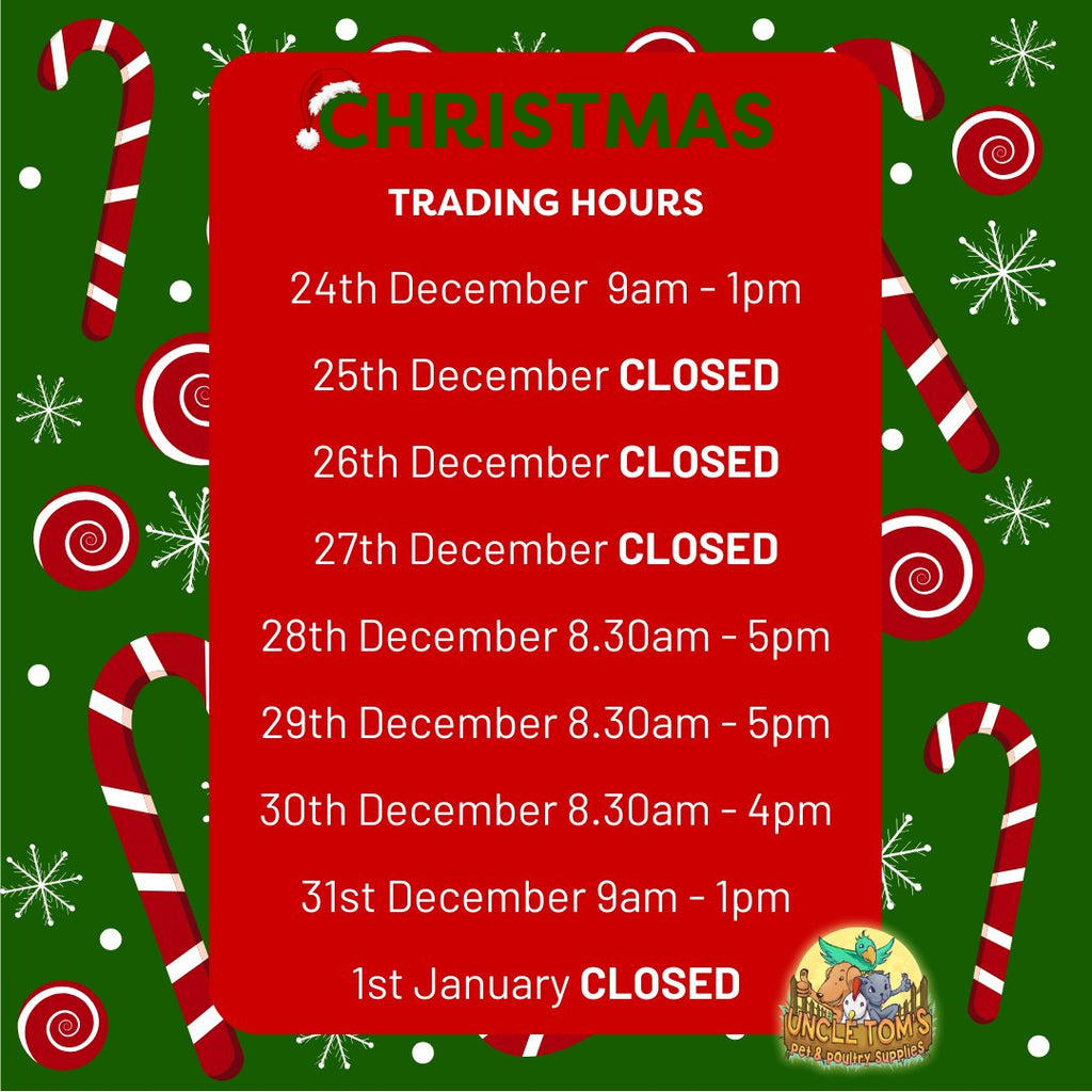 Our Christmas Trading Hours 2023