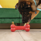 Kong Ziggies Enhanced Dog Treat Small 198g