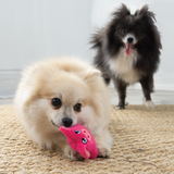 Kong Snuzzles Mini Pig X-Small