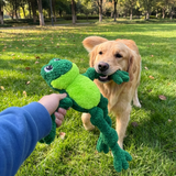 Kong Knots Frog XL