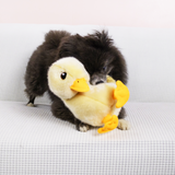 Kong Toughz Duck Medium