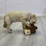 Kong Layerz Forage Hedgehog Medium