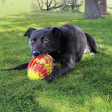 Kong Flexball Sport Football Medium
