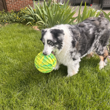 Kong Flexball Sport Ball X-Large