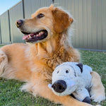 Snuggle Friends Warthog Dog Toy