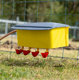 Bainbridge Austomatic Poultry Waterer (Stand Sold Separately) 