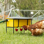 Bainbridge Austomatic Poultry Waterer (Stand Sold Separately) 