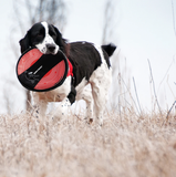 EzyDog Fido Flyer Dog Toy