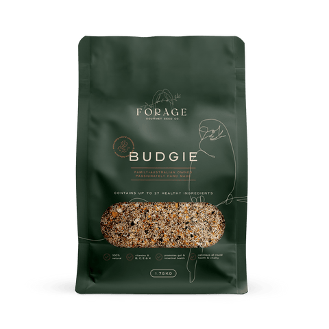 Forage Gourmet Seed Budgie Mix [SZ:1.75KG]