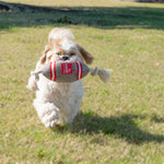 Louie Living Football Dog Toy