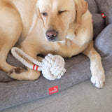 Louie Living Tug Rope
