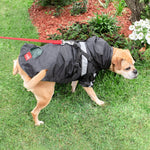 Louie Living Raincoat Black