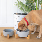 Louie Living Bowl With Stand (Grey)