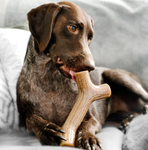 Benebone Bacon Stick Large