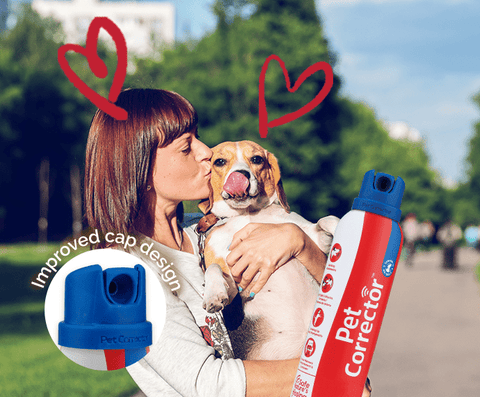 Company of Animals Pet Corrector