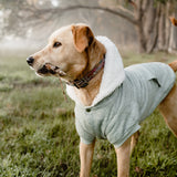 Huskimo Mt Snowy Hoodie Dog Coat Eucalyptus [SZ:27cm]