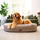 Superior Orthopaedic Memory Rest Puppacino Small / Medium