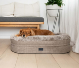 Superior Orthopaedic Memory Rest Puppacino Small / Medium
