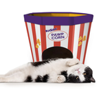 Kazoo Kitty Popcorn Cardboard House