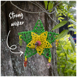 Kazoo Christmas Star Bird Toy