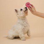 Kazoo Dog Donut Biscuit - Pink