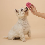 Kazoo Dog Donut Biscuit - Pink