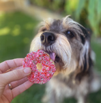 Kazoo Dog Donut Biscuit - Pink