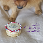 Kazoo Birthday Dog Cookie - Happy Barkday
