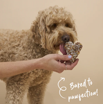 Kazoo Meat Lovers Cookie - Chicken