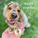 Kazoo Meaty Petite Tarts - 3 Pack