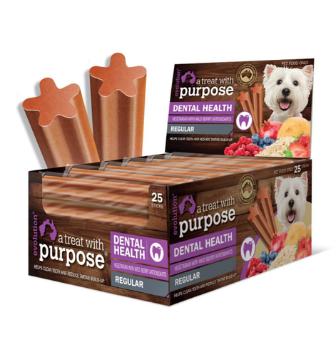 Evolution Vegetarian WIld Berry Dental Stick