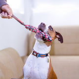 EzyDog Beaver Tail Dog Toy [SZ:SMALL]