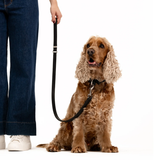 EzyDog Oxford Dog Leash Brown
