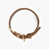 EzyDog Oxford Leather Dog Collar Brown [SZ:X-SMALL]