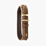 EzyDog Oxford Leather Dog Collar Brown [SZ:X-SMALL]