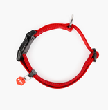 EzyDog Essential Adjustable Dog Collar Red [SZ:SMALL]