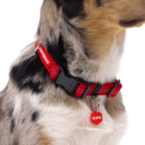 EzyDog Essential Adjustable Dog Collar Burgundy [SZ:SMALL]
