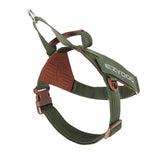 EzyDog Express Harness Green [SZ:SMALL]