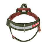 EzyDog Express Harness Green [SZ:SMALL]
