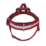 EzyDog Express Dog Harness Burgundy [SZ:SMALL]