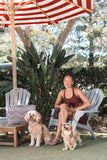 EzyDog Express Dog Harness Burgundy [SZ:SMALL]